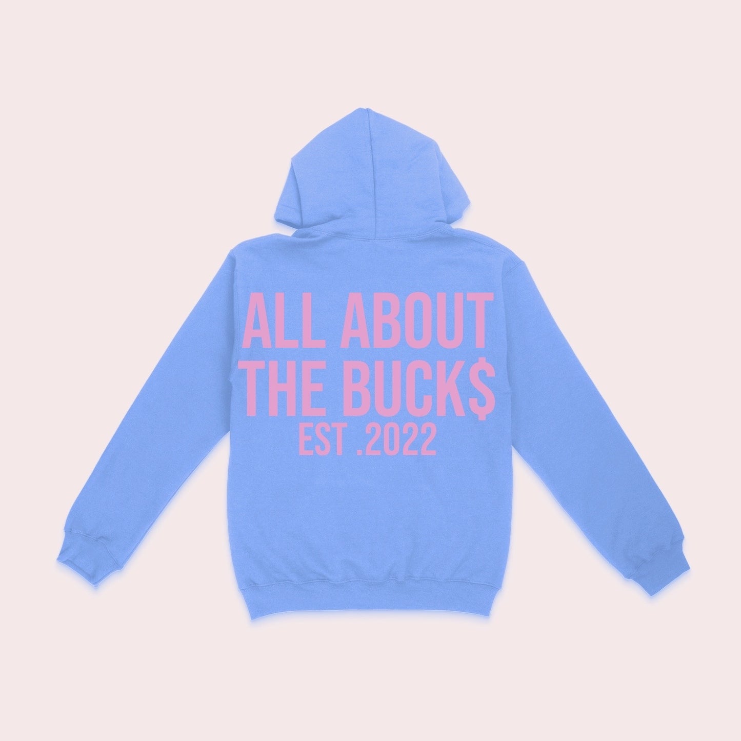 AllAboutTheBuck$ Baby Blue/Pink  Logo Hoodie